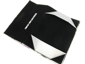 Lessbylesssummercase01