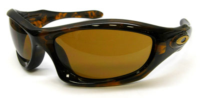 Monsterdogbrtortoise