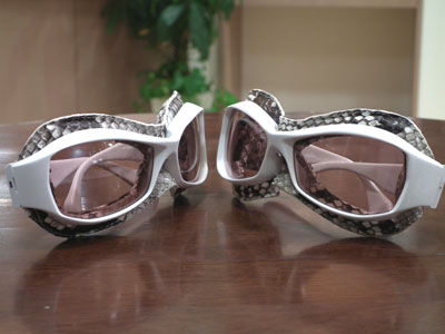 20110306fa161whfandwhf