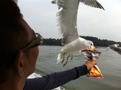 20110914matsushima03