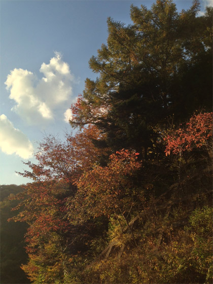 20121101shima