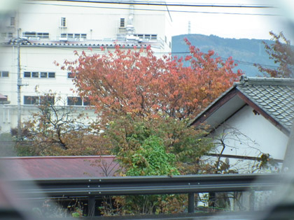 20121112testview01