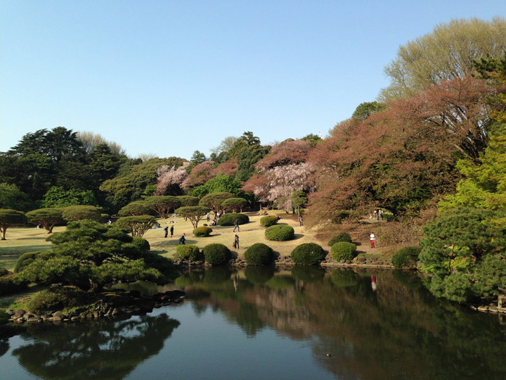 20140411sinjukugyoen01