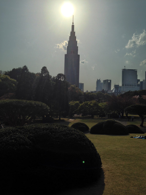 20140411sinjukugyoen02