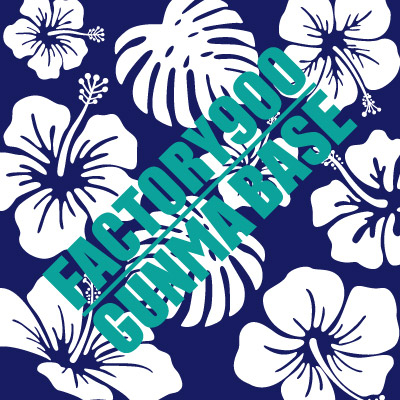 20160618cloth900hibiscus
