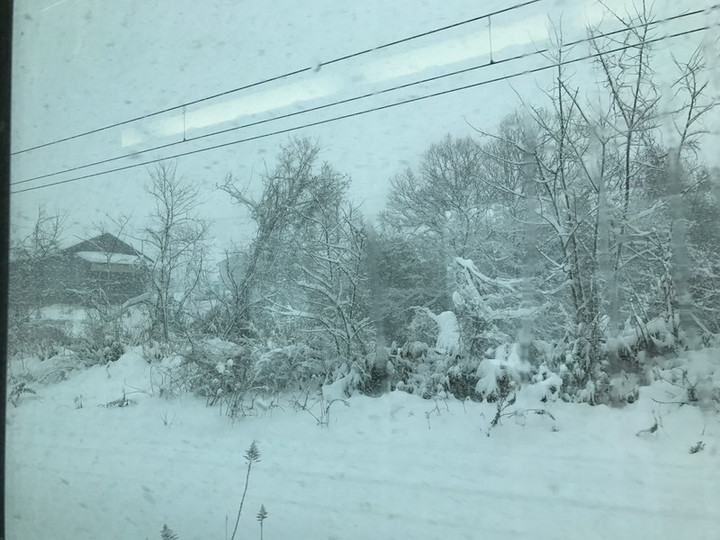20180112yuki_02_2