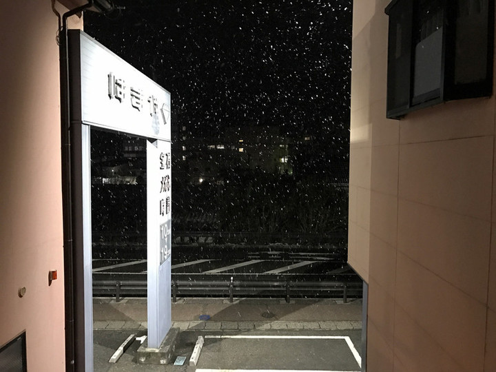 20180203yuki