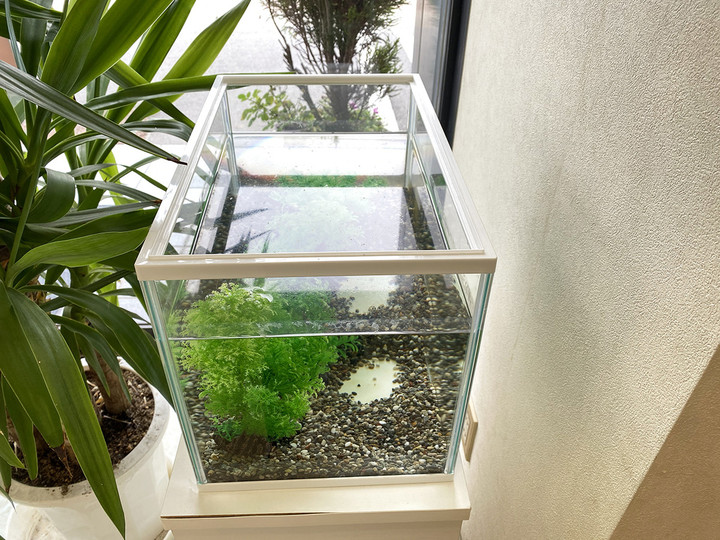 20200728_non_polar_01