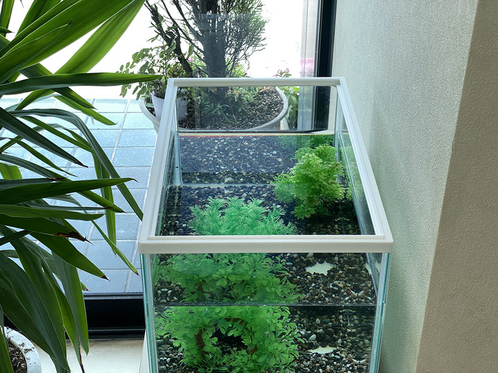 20200830master_blue_02_2