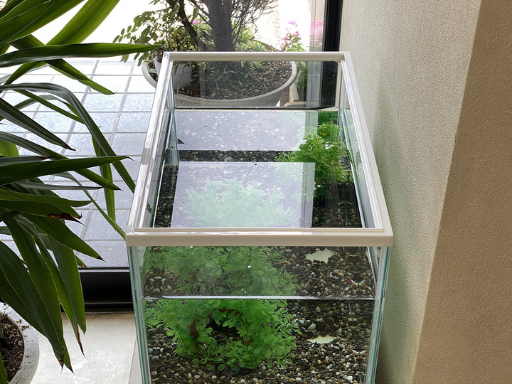 20200830non_polar_02