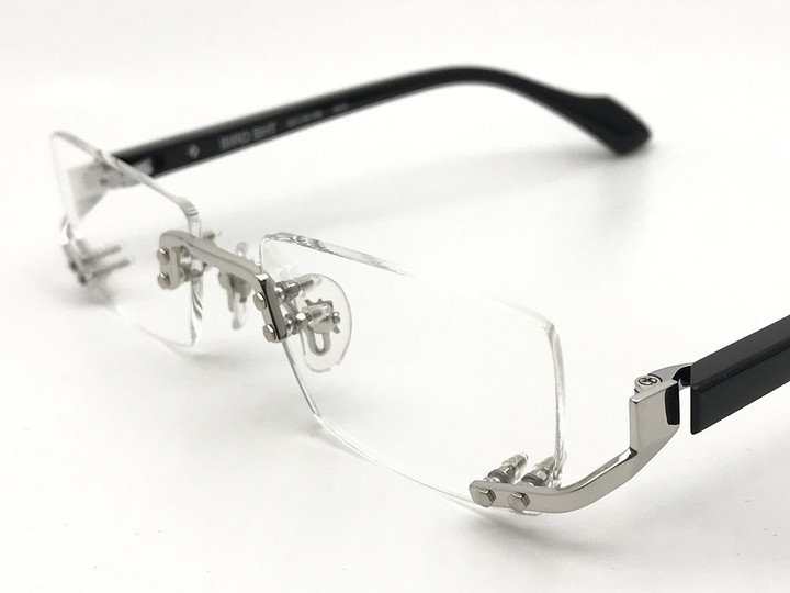 20210203bird_sht_1010_02