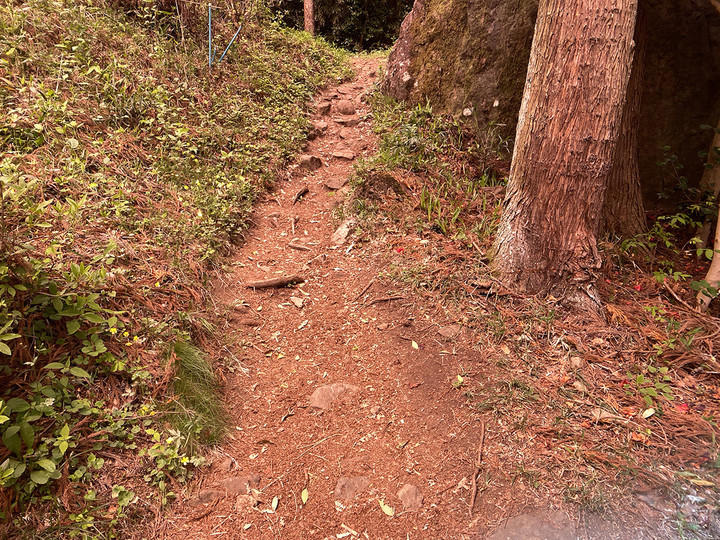 20210512prizm_trail_01