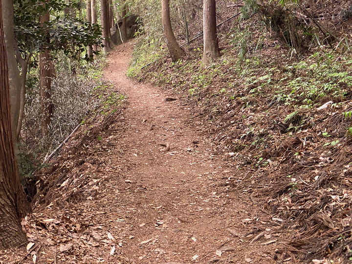 20210512prizm_trail_02