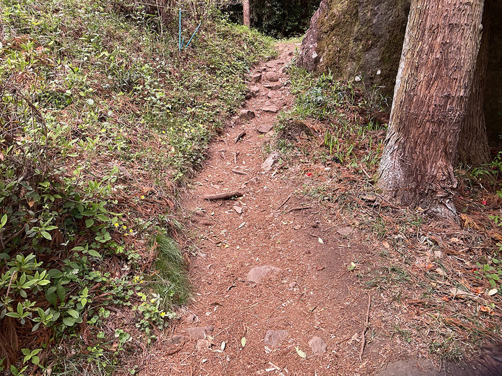 20210512prizm_trail_touch_01