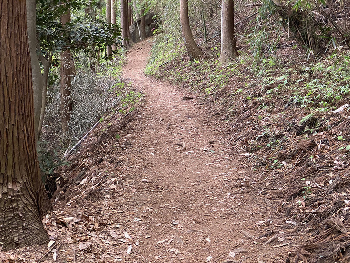 20210512prizm_trail_touch_02