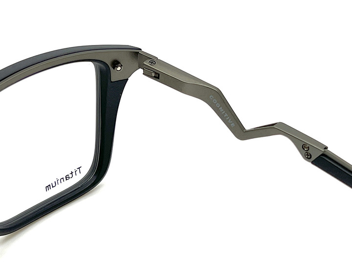 20231127cognitive_stbk_09