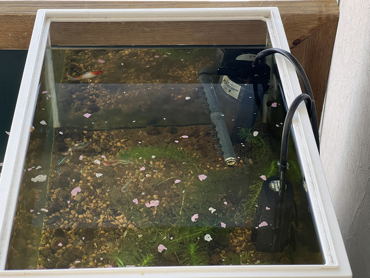 20240219trueview_sports_02