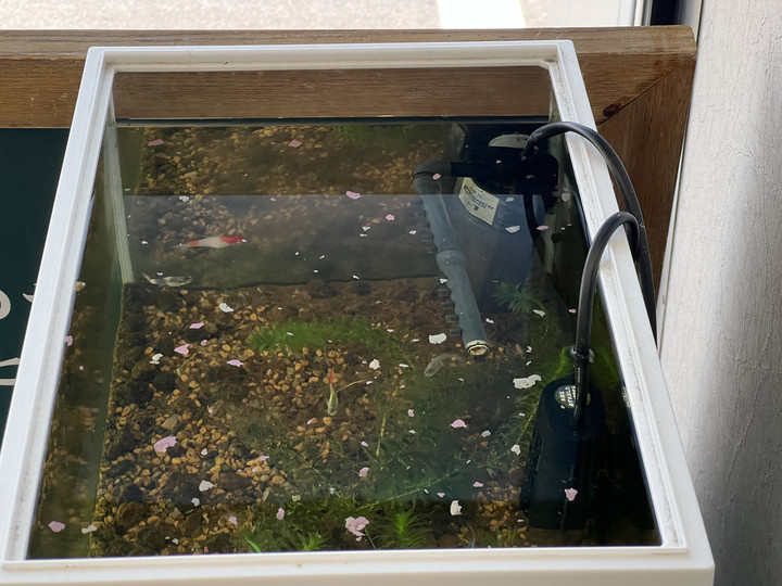 20240219ts_silvermirror_02