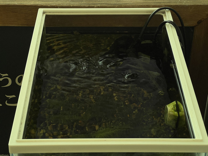 20240612schiller_op_02