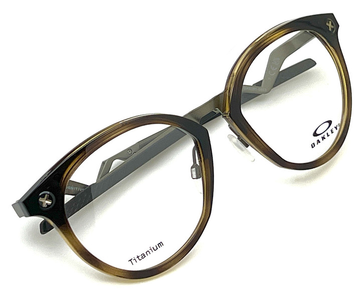 20240623cognitive_r_tort_04