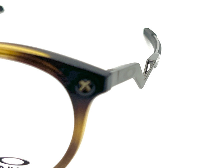 20240623cognitive_r_tort_07