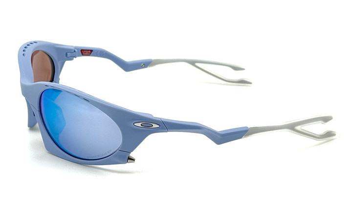 20241215plantaris_03