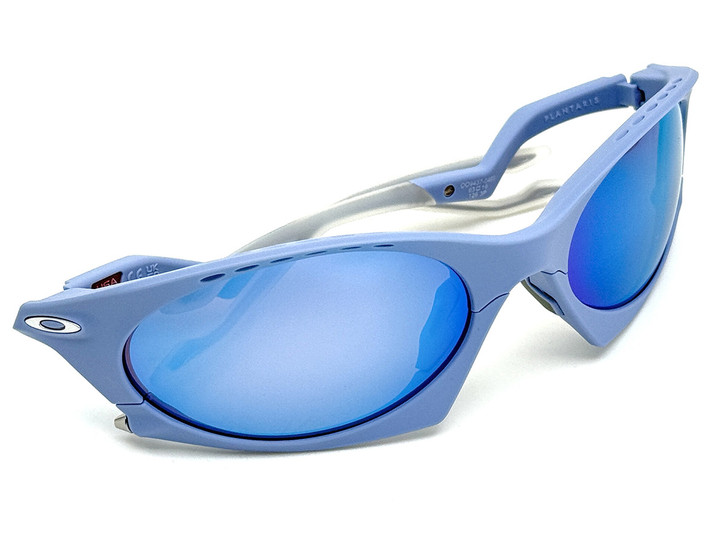 20241215plantaris_04