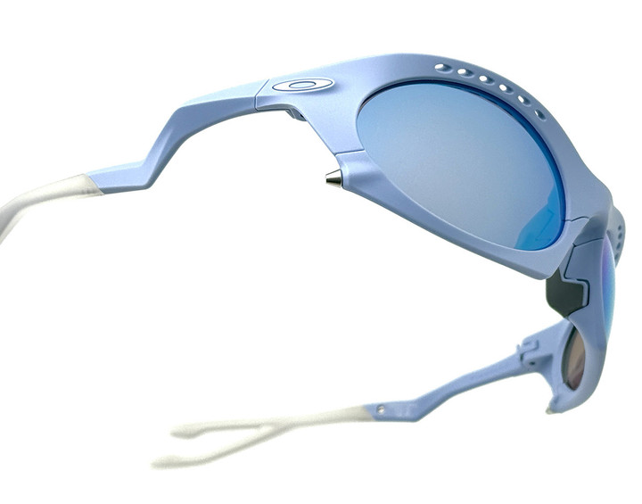 20241215plantaris_05