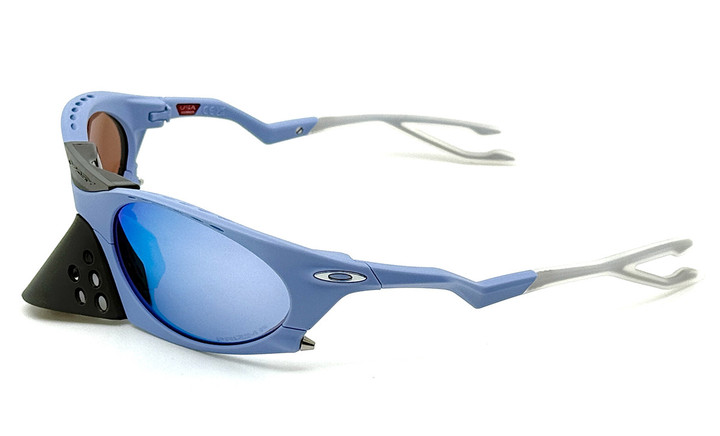 20241215plantaris_nose_03