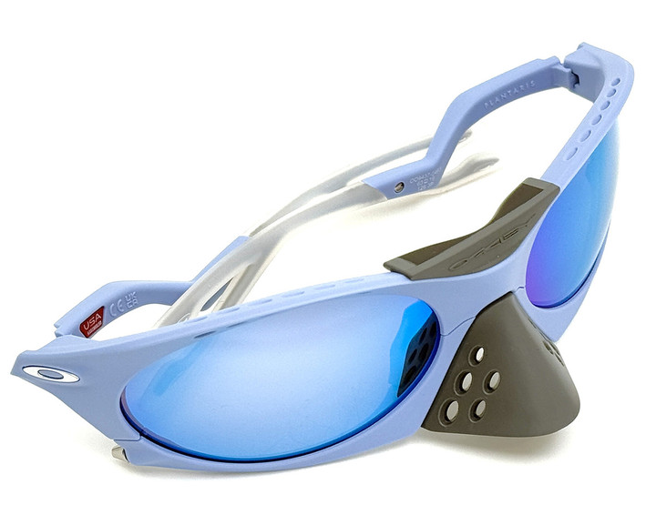 20241215plantaris_nose_04