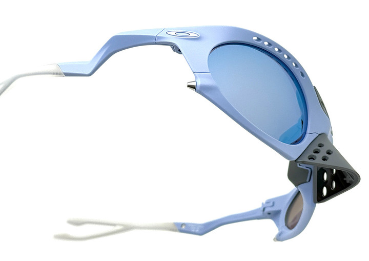 20241215plantaris_nose_06