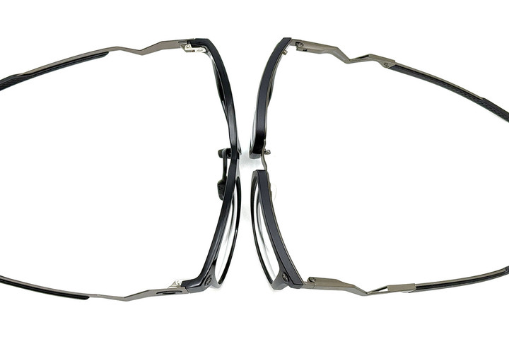 20250224cerebral_and_cognitive_01