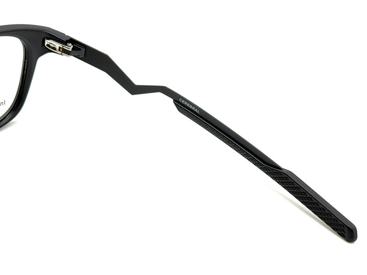 20250224cerebral_stbk_03