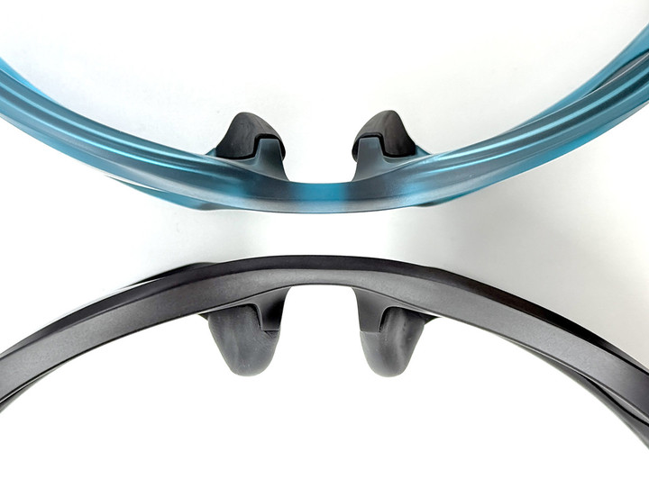 20250309lateralis_nose