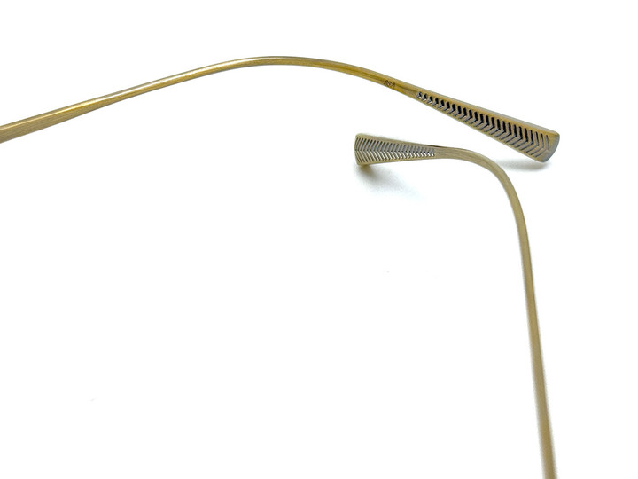 20250331safari_atg_06