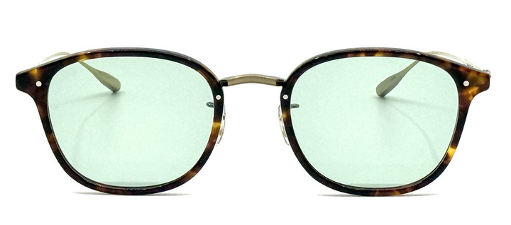 20260107danforth49sun_tortltgrn_02