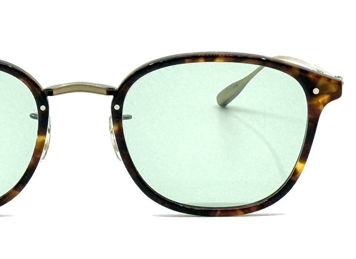 20260107danforth49sun_tortltgrn_05