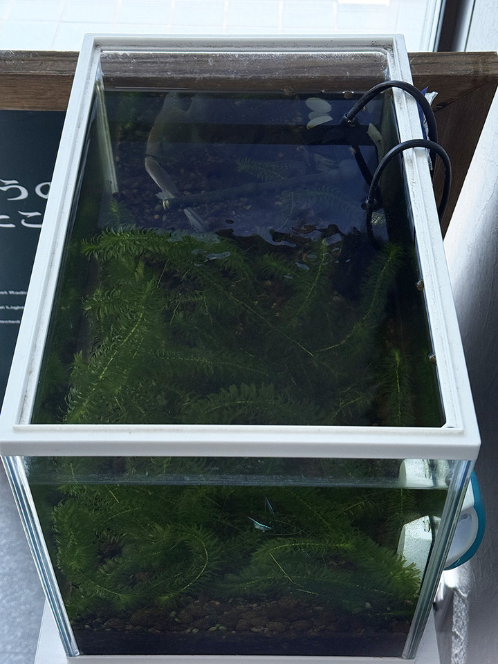 20260311vol3_bl76_02