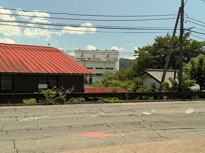 20250617brown