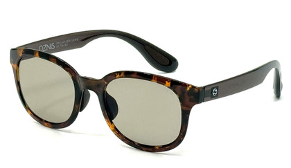 20260106flat03_easegray_01