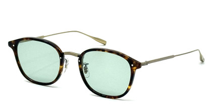 20260107danforth49sun_tortltgrn_01