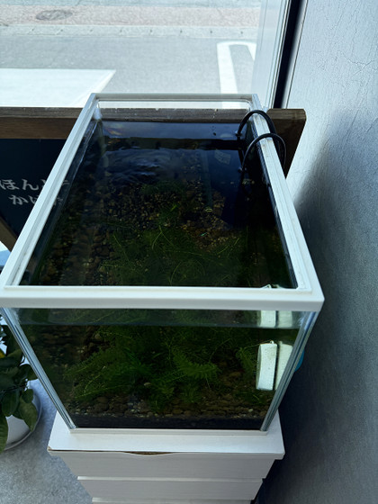 20260316ease_blue_03