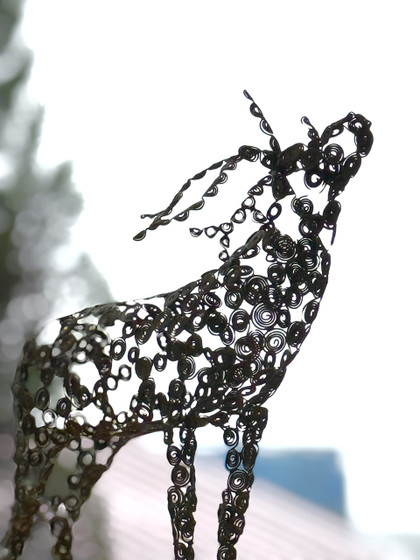 20260909nishijimas_deer